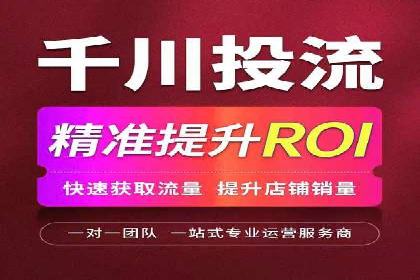百度推广代运营公司成功案例：精准投放广告的秘诀